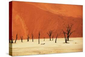 Dead Valley in Namibia-Andrushko Galyna-Stretched Canvas