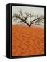 Dead Valley in Namibia-Andrushko Galyna-Framed Stretched Canvas