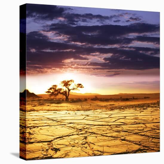 Dead Valley in Namibia-Andrushko Galyna-Stretched Canvas