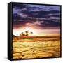 Dead Valley in Namibia-Andrushko Galyna-Framed Stretched Canvas