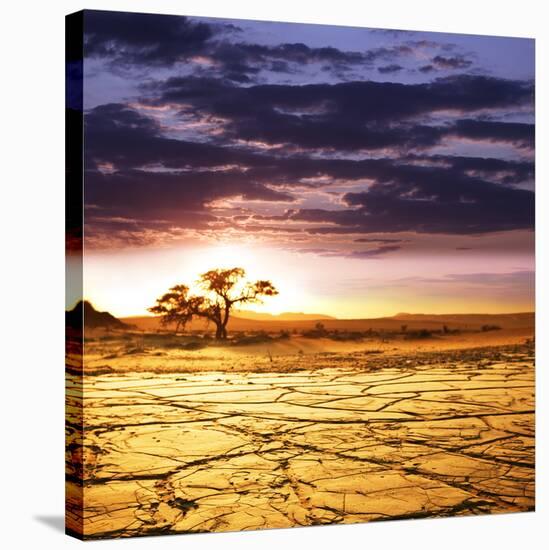 Dead Valley in Namibia-Andrushko Galyna-Stretched Canvas