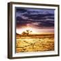 Dead Valley in Namibia-Andrushko Galyna-Framed Premium Photographic Print