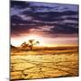 Dead Valley in Namibia-Andrushko Galyna-Mounted Premium Photographic Print