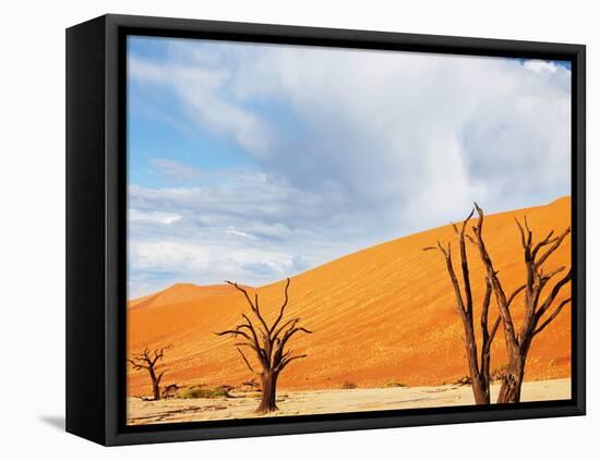 Dead Valley in Namibia-Andrushko Galyna-Framed Stretched Canvas