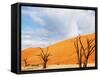 Dead Valley in Namibia-Andrushko Galyna-Framed Stretched Canvas