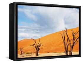 Dead Valley in Namibia-Andrushko Galyna-Framed Stretched Canvas