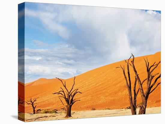 Dead Valley in Namibia-Andrushko Galyna-Stretched Canvas