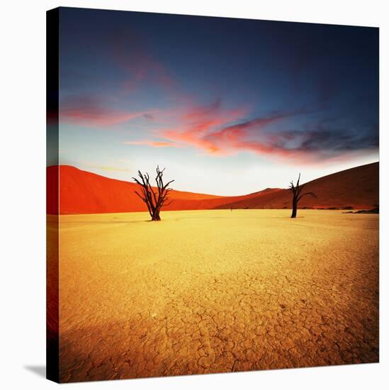 Dead Valley in Namibia-Andrushko Galyna-Stretched Canvas