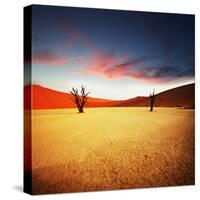 Dead Valley in Namibia-Andrushko Galyna-Stretched Canvas