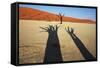 Dead Valley in Namibia-Andrushko Galyna-Framed Stretched Canvas