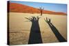 Dead Valley in Namibia-Andrushko Galyna-Stretched Canvas