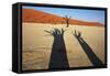 Dead Valley in Namibia-Andrushko Galyna-Framed Stretched Canvas