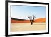 Dead Valley in Namibia-Andrushko Galyna-Framed Photographic Print