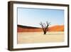 Dead Valley in Namibia-Andrushko Galyna-Framed Photographic Print