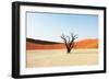 Dead Valley in Namibia-Andrushko Galyna-Framed Photographic Print