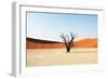 Dead Valley in Namibia-Andrushko Galyna-Framed Photographic Print