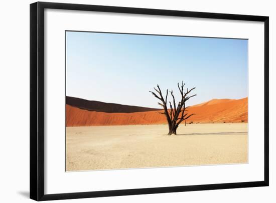 Dead Valley in Namibia-Andrushko Galyna-Framed Photographic Print