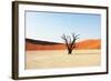 Dead Valley in Namibia-Andrushko Galyna-Framed Photographic Print