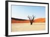 Dead Valley in Namibia-Andrushko Galyna-Framed Photographic Print