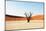 Dead Valley in Namibia-Andrushko Galyna-Mounted Photographic Print