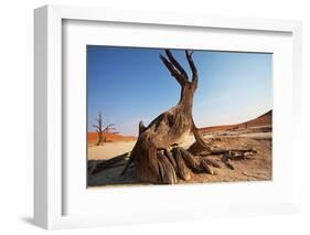 Dead Valley in Namibia-Andrushko Galyna-Framed Photographic Print