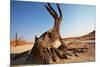 Dead Valley in Namibia-Andrushko Galyna-Mounted Photographic Print