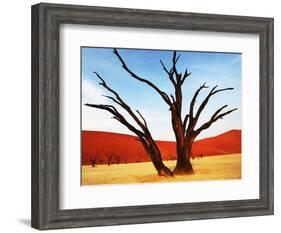 Dead Valley in Namibia-Andrushko Galyna-Framed Photographic Print