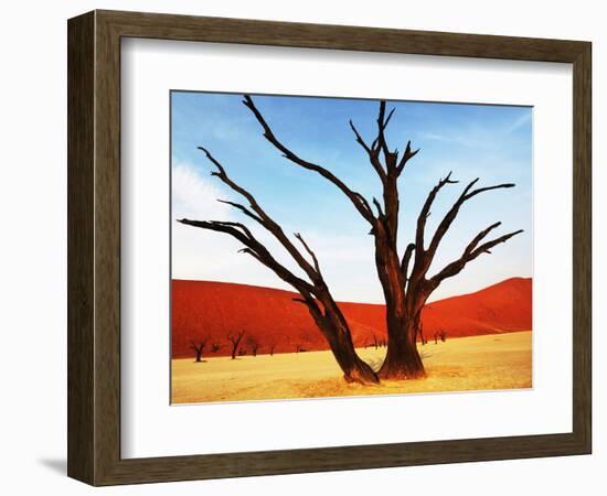 Dead Valley in Namibia-Andrushko Galyna-Framed Photographic Print