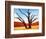 Dead Valley in Namibia-Andrushko Galyna-Framed Photographic Print