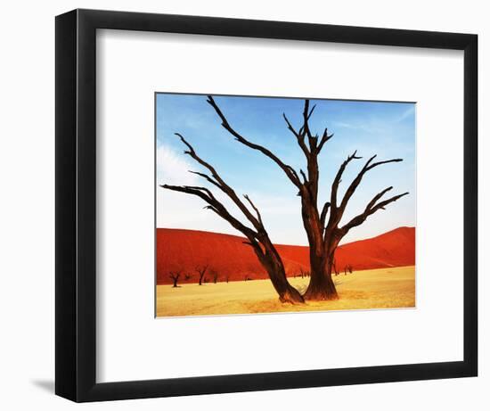 Dead Valley in Namibia-Andrushko Galyna-Framed Photographic Print