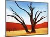 Dead Valley in Namibia-Andrushko Galyna-Mounted Photographic Print