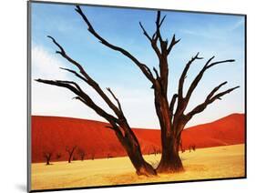 Dead Valley in Namibia-Andrushko Galyna-Mounted Photographic Print