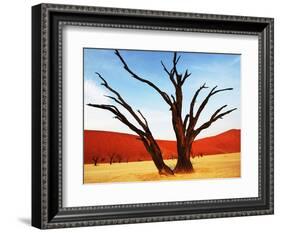 Dead Valley in Namibia-Andrushko Galyna-Framed Photographic Print