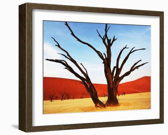 Dead Valley in Namibia-Andrushko Galyna-Framed Photographic Print