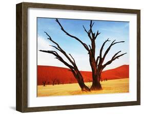 Dead Valley in Namibia-Andrushko Galyna-Framed Photographic Print