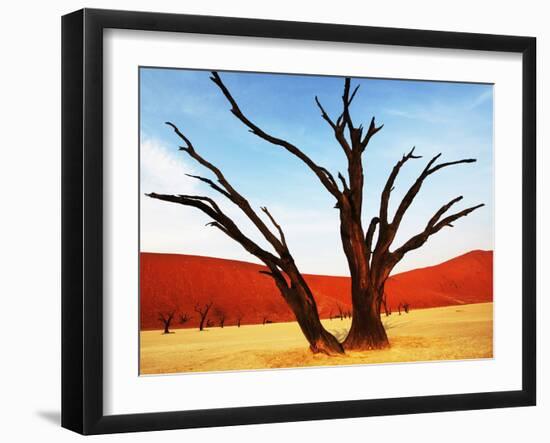 Dead Valley in Namibia-Andrushko Galyna-Framed Photographic Print