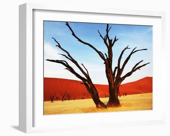 Dead Valley in Namibia-Andrushko Galyna-Framed Photographic Print