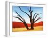 Dead Valley in Namibia-Andrushko Galyna-Framed Photographic Print