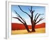 Dead Valley in Namibia-Andrushko Galyna-Framed Photographic Print