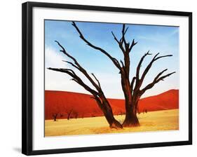 Dead Valley in Namibia-Andrushko Galyna-Framed Photographic Print