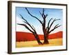 Dead Valley in Namibia-Andrushko Galyna-Framed Photographic Print