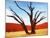 Dead Valley in Namibia-Andrushko Galyna-Mounted Photographic Print