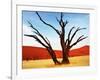 Dead Valley in Namibia-Andrushko Galyna-Framed Photographic Print