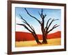 Dead Valley in Namibia-Andrushko Galyna-Framed Photographic Print