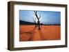 Dead Valley in Namibia-Andrushko Galyna-Framed Photographic Print