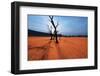 Dead Valley in Namibia-Andrushko Galyna-Framed Photographic Print