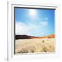 Dead Valley in Namibia-Andrushko Galyna-Framed Photographic Print