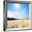 Dead Valley in Namibia-Andrushko Galyna-Framed Photographic Print