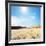 Dead Valley in Namibia-Andrushko Galyna-Framed Photographic Print