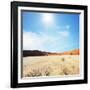 Dead Valley in Namibia-Andrushko Galyna-Framed Photographic Print